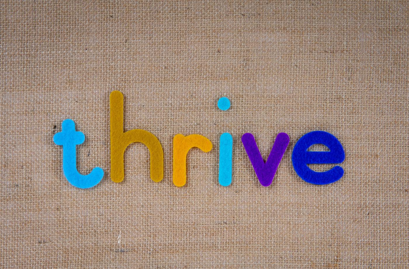 Thriving at work: a meta-analysis